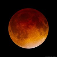 Special Moon Observation Camp - 7th of September, 2025